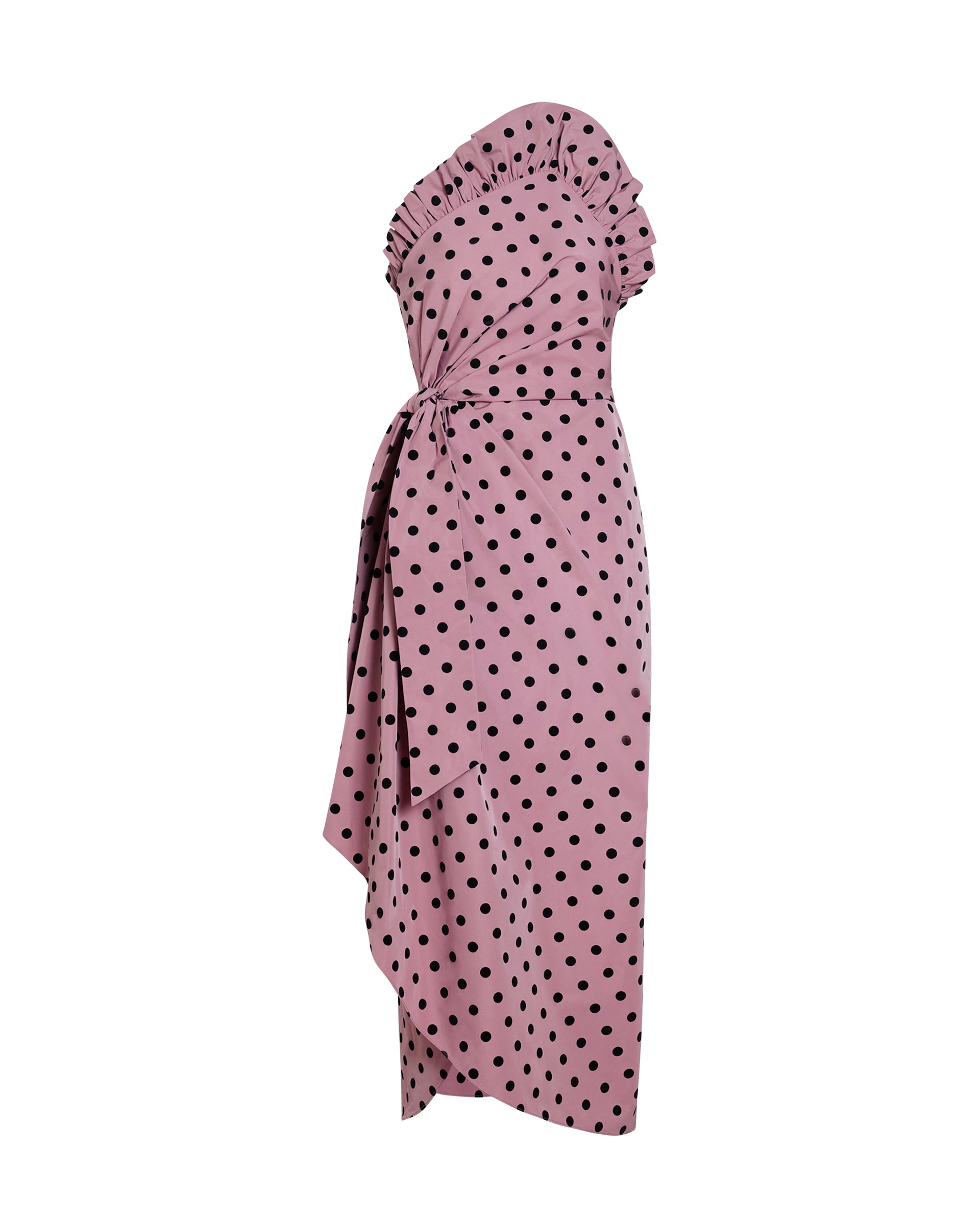 Charlotte Polka Dot Dress